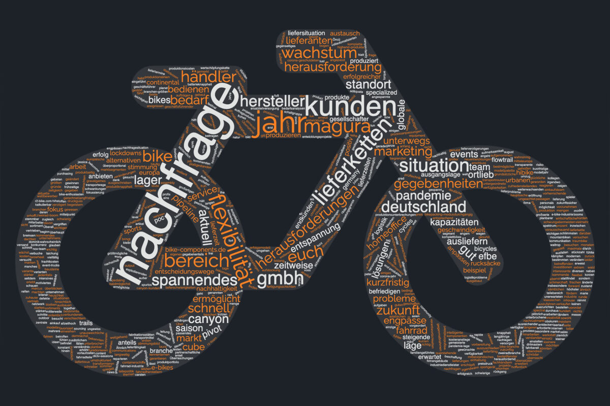 Stimmungsbild Fahrrad-Industrie: So lief das letzte Jahr für 14 Firmen der Branche
