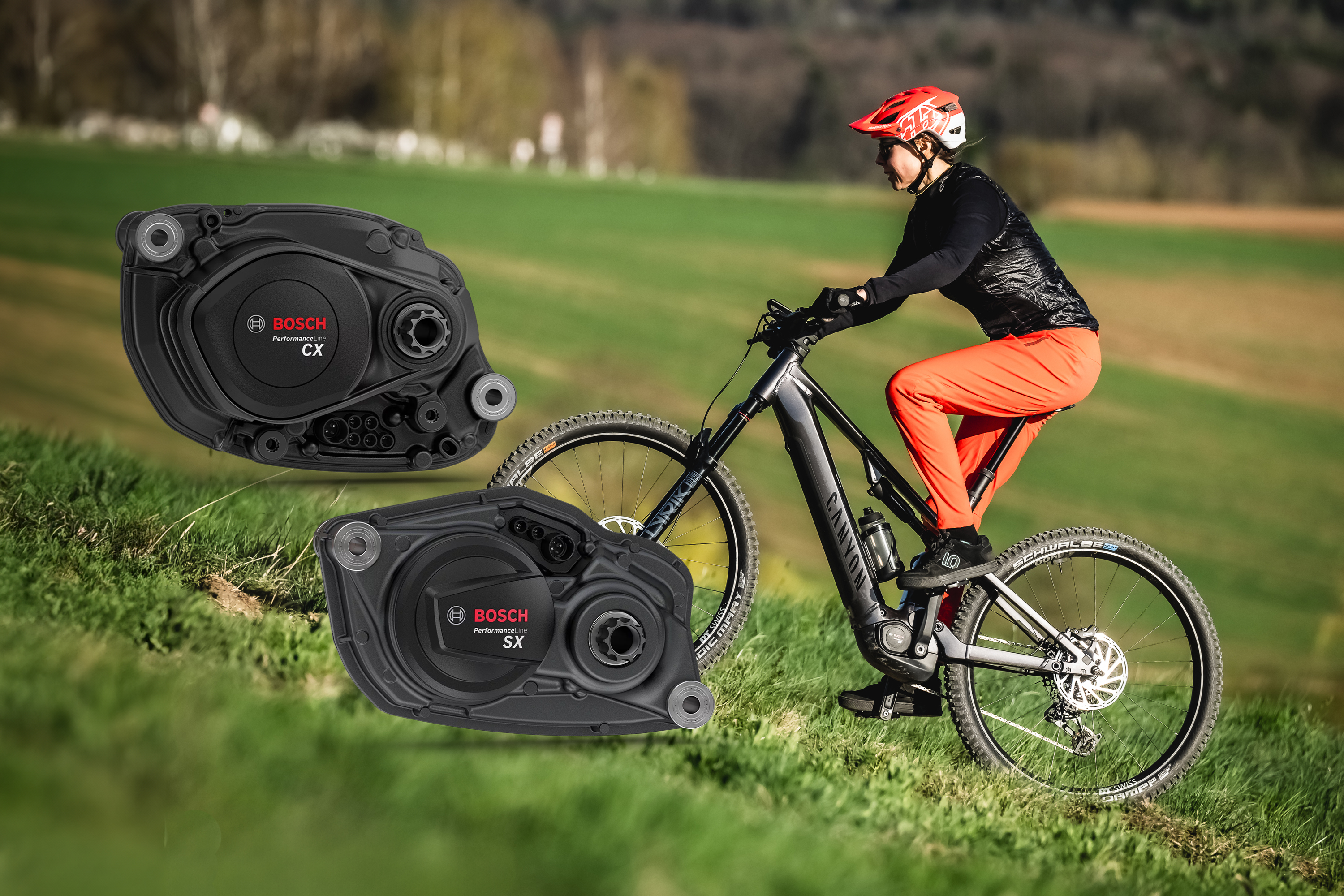 E-Bike mit SX-Light-Support- oder CX-Fullpower: Welcher Bosch-Typ bist du?